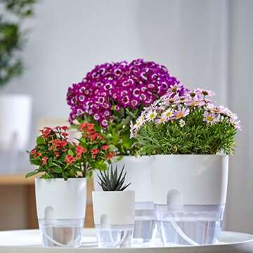 ETGLCOZY 6/4.1/3.2 Inch Self Watering Planter Pots, 5 Pack African Violet Pots for Indoor Outdoor Wi...
