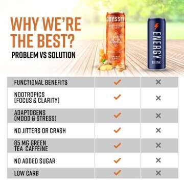 Odyssey Elixir Functional Beverage - Adaptogen Drink with Lions Mane, Cordyceps, L Theanine & Green Tea Caffeine - for Cognition, Energy & Mood Boost - 0 Added Sugar - Variety Pack - 12 Fl oz, 12 Pack