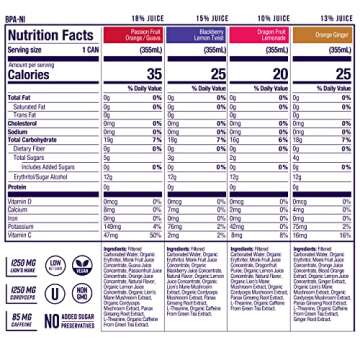 Odyssey Elixir Functional Beverage - Adaptogen Drink with Lions Mane, Cordyceps, L Theanine & Green Tea Caffeine - for Cognition, Energy & Mood Boost - 0 Added Sugar - Variety Pack - 12 Fl oz, 12 Pack