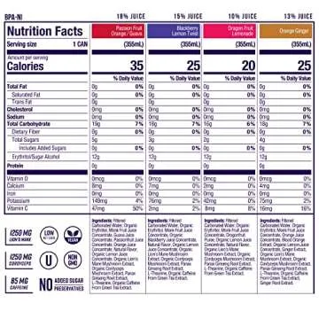 Odyssey Elixir Functional Beverage - Adaptogen Drink with Lions Mane, Cordyceps, L Theanine & Green Tea Caffeine - for Cognition, Energy & Mood Boost - 0 Added Sugar - Variety Pack - 12 Fl oz, 12 Pack