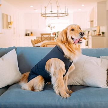 Shed Defender Recovery Suit for Dogs - Vet Approved Comfort