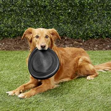 Kong Black Flyer Frisbee - Ideal Dog Fetch Toy