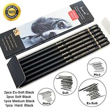 Brusarth Professional Charcoal Pencils Drawing Set - 6 Pieces Soft Medium and Hard Charcoal Pencils for Drawing, Sketching, Shading