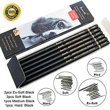 Brusarth Professional Charcoal Pencils Drawing Set - 6 Pieces Soft Medium and Hard Charcoal Pencils for Drawing, Sketching, Shading