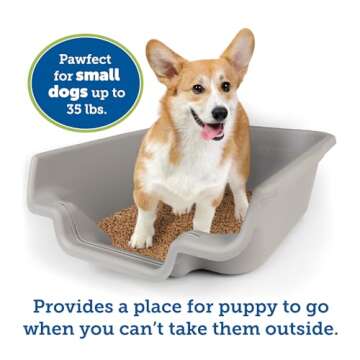 PuppyGoHere Dog Litter Box, Misty Gray Color, Extra Large Size, Durable & Pet Safe Puppy Litter Box, Indoor Open Top Entry Dog Litter Pan, Comfortable for Dogs, Great for Dogs up to 35 lbs