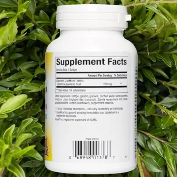 Natural Factors Quercetin Softgel Supplement - 60 Count