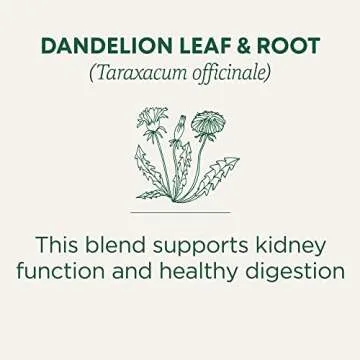 Traditional Medicinals Organic Dandelion Leaf & Root Herbal Tea (Pack of 2), Supports Kidney Function and Healthy Digestion, 16 Tea Bags Total