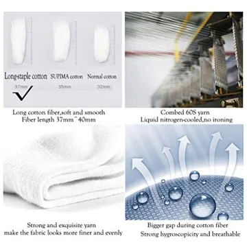 Mottee&Zconia No Show Socks – Stylish Comfort for All