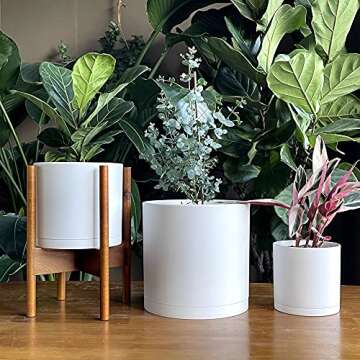 D'vine Dev 6.5 Inch 8 Inch 10 Inch, Set of 3 Plastic Planter Pots for Plants with Drainage Hole and Seamless Saucers, White Color, Large, 74-V-A-4