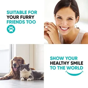 Dental Care Kit Stainless Steel Tools for All Ages