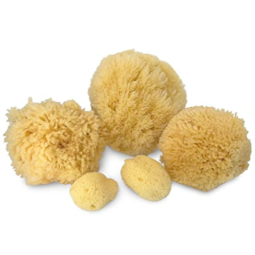 Real Natural Sea Sponges Multipack for Pampering Bliss