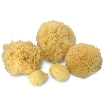 Real Natural Sea Sponges Multipack for Pampering Bliss