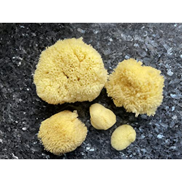 Real Natural Sea Sponges Multipack for Pampering Bliss