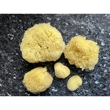Real Natural Sea Sponges Multipack for Pampering Bliss