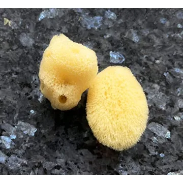 Real Natural Sea Sponges Multipack for Pampering Bliss