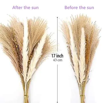BTOUTKIP 65Pcs Dried Pampas Grass Decor, Faux Tall Pampas Grass Plants, Natural Pampas Grass Arrangement for Wedding and Home Decorations