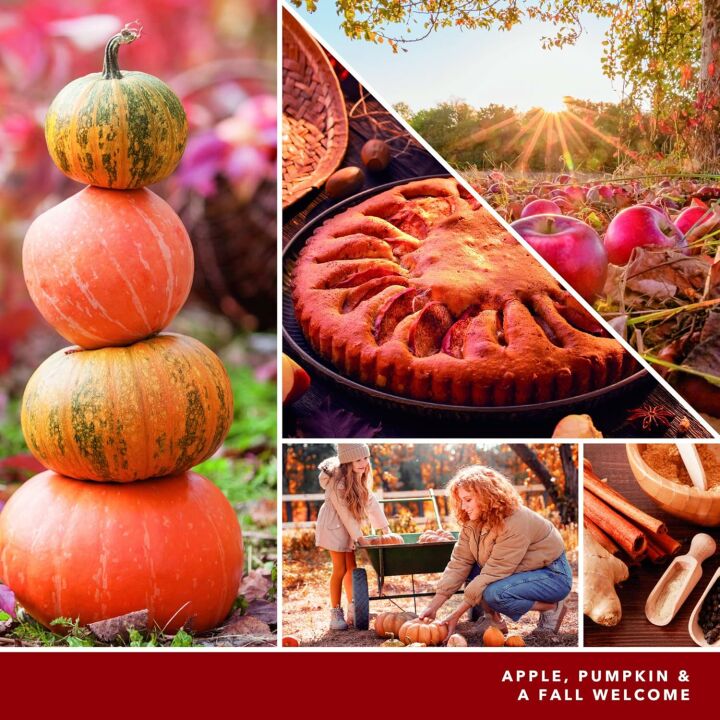 Yankee Candle Autumn Leaves Scented 20oz Jar