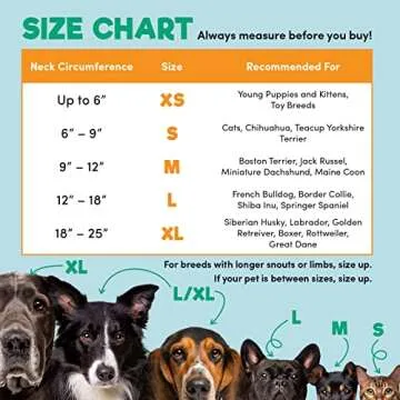 BENCMATE Inflatable Pet Recovery Collar - Soft and Adjustable