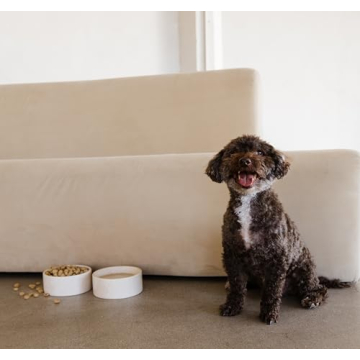 Luxury AME GEMELLA Marble Pet Bowl - Non-Slip & Elegant