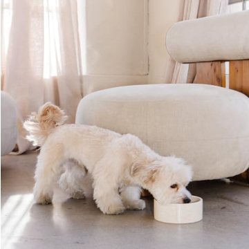 Luxury AME GEMELLA Marble Pet Bowl - Non-Slip & Elegant