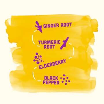 Vive Organic Immune Support Elderberry Shot, Cold-Pressed Turmeric & Ginger, Gluten Free, Vegan, Imm...