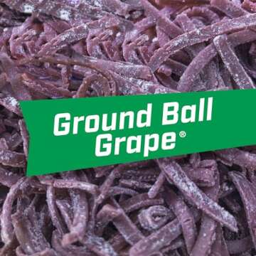 Big League Chew Ground Ball Grape Bubble Gum Pack of 12
