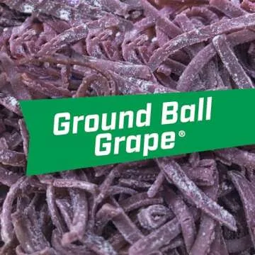 Big League Chew Ground Ball Grape Bubble Gum Pack of 12