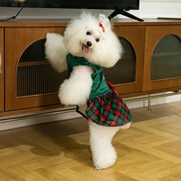 CuteBone Christmas Tree Dog Dress for Small Dogs