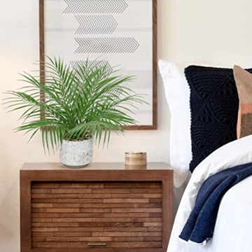 Hollyone Large 16" Faux Potted Palm Plant for Home Decor