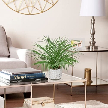 Hollyone Large 16" Faux Potted Palm Plant for Home Decor