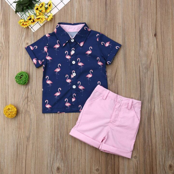 Summer Toddler Flamingo Shirt & Shorts Set 1-6 Yrs