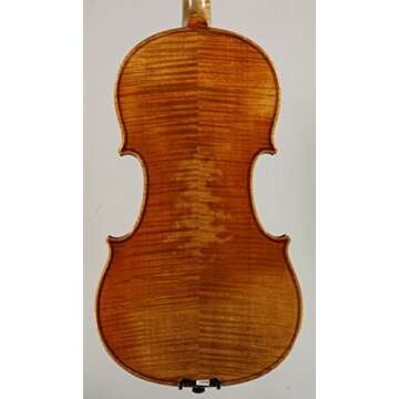 SNOW Professional Violin JHS-V: Quality for Every Musician