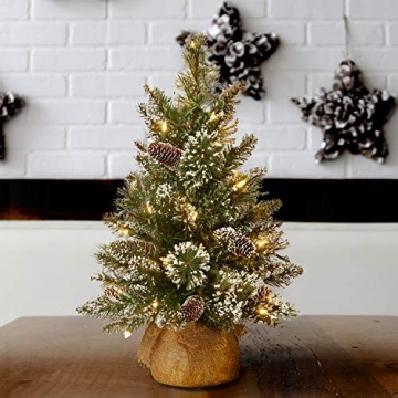 Shop National Tree Company's 2ft Mini Christmas Tree It glows!