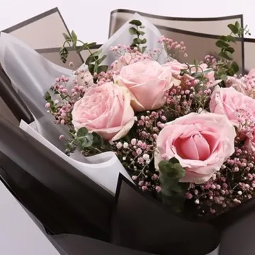 Corkwaw Black Border Waterproof Wrapping Paper 20 Pcs