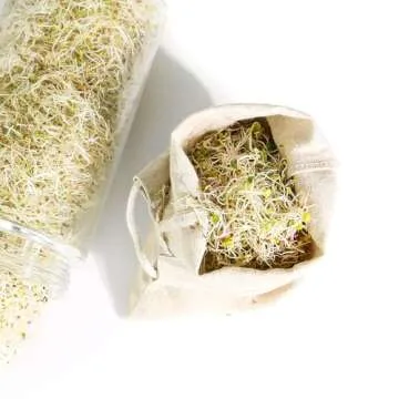 Organic Hemp Sprout Bag for Effortless Home Sprouting