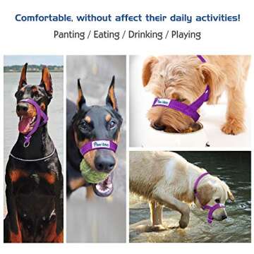 Pawaboo Dog Muzzle, Head Halter Collar for Dog, Pet Dog Nylon Reflective Adjustable Loop Anti-Biting Barking Control Easy Fit Dog Stops Dog Pulling Head Leash, Medium Size, Purple