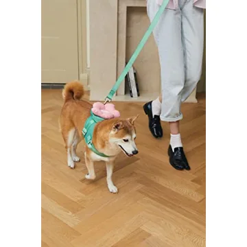 VETRESKA Adjustable Dog Harness and Leash Set for All Sizes