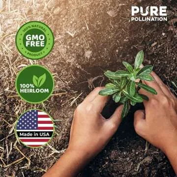 16,500 Non GMO Heirloom Vegetable Seeds Survival Garden 40 Variety Pack