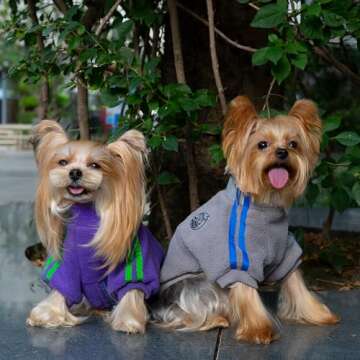 Hug Pupee Dog Clothes Small Dogs Fleece Jacket Crewneck Coat Cozy Warm Winter Clothing Zip up Sweater for Tiny Puppy Jack Russell Brussels Griffon Papillon Bichon Pomeranian - Purple Large