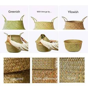 Seagrass Basket, Belly Basket for Fiddle Leaf Home Decoration Plant Pot Cover by Qliwa