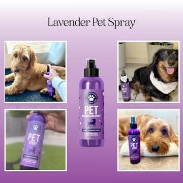Lavender Oil Dog Deodorizing Spray - Natural Dog Perfume for Fresh Pup