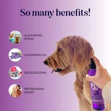 Lavender Oil Deodorizing Spray for Smelly Dogs
