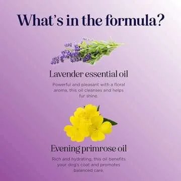 Lavender Oil Deodorizing Spray for Smelly Dogs