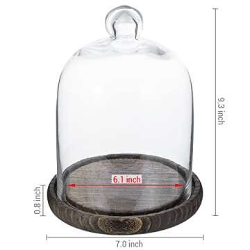 MyGift Clear Cloche Glass Dome, Display Bell Jar with Top Handle and Rustic Brown Solid Wood Base