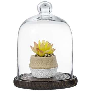 MyGift Clear Cloche Glass Dome, Display Bell Jar with Top Handle and Rustic Brown Solid Wood Base