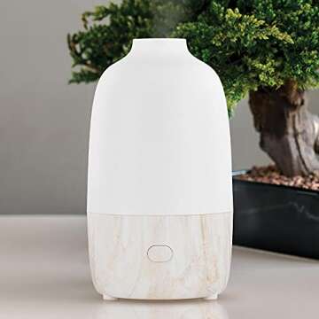 SpaRoom Ultrasonic Essential Oil Diffuser - 200 mL