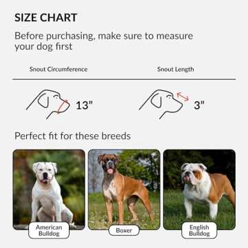 CollarDirect Leather Basket Dog Muzzle for Boxer, English American Bulldog Secure Anti-Barking Bitin...