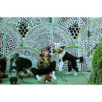 I Am Bunny: How a "Talking" Dog Taught Me Everything I Need to Know About Being Human