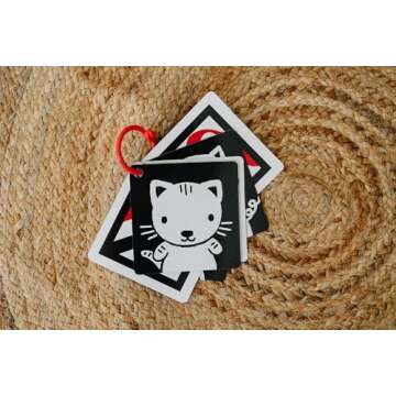 The Original High Contrast Montessori Flashcards for Baby with Stroller Clip by Genius Baby Toys