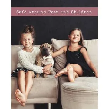 Baby Powder Natural Hair & Body Mist Spray, Pure Essential and Fragrance Oils, Alcohol-Free, Handmade in California, 0.5Fl Oz